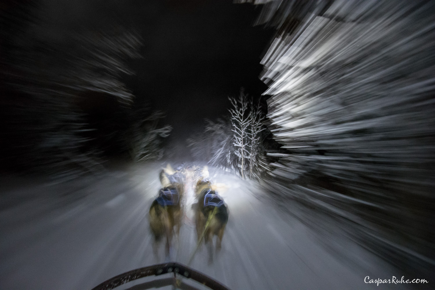 Dogsledding